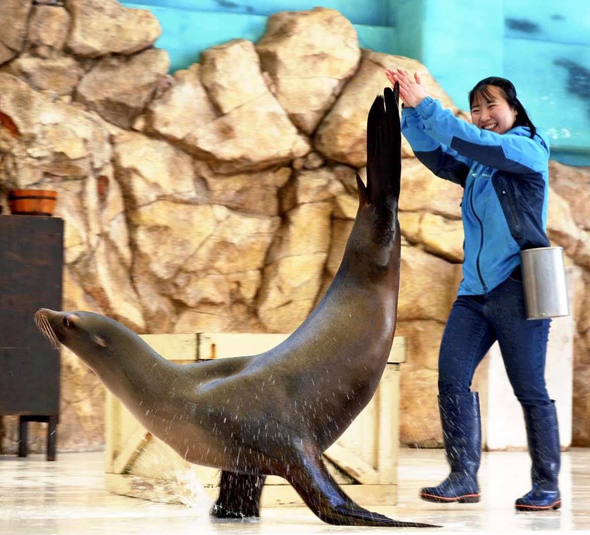 🐠 도바 수족관 이미지 5